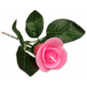 Κέρινο τριαντάφυλλο ροζ