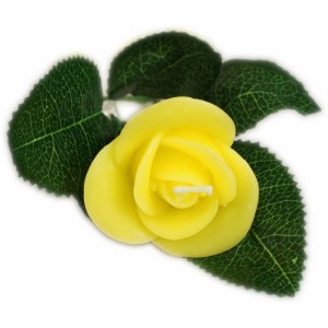 Κέρινο τριαντάφυλλο κίτρινο