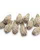 Φασκόμηλο Ερήμου Λευκό Καλιφόρνια 10cm 20gr - White Sage Smudge Stick Βότανα - Ρίζες