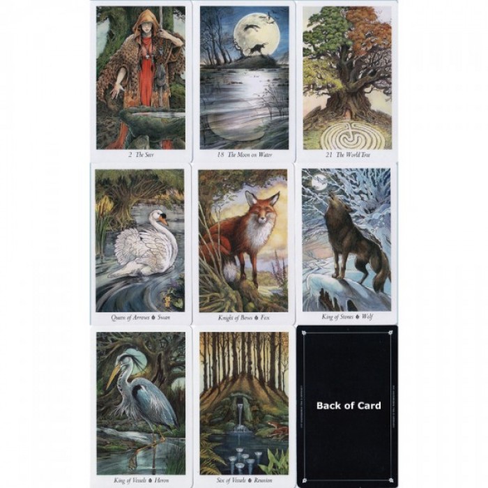 Καρτες ταρω - The Wildwood Tarot (σετ) 