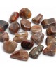 Απολιθωμένο ξύλο (Petrified Wood) Βότσαλα - Πέτρες (Tumblestones)
