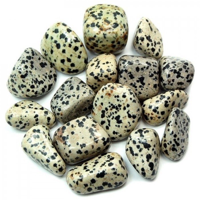 Ημιπολυτιμοι λιθοι - Ίασπις Δαλματίας - Dalmation Stone Βότσαλα - Πέτρες (Tumblestones)