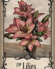 Κάτω από τα τριαντάφυλλα Λένορμαν - Under the Roses Lenormand Κάρτες Μαντείας