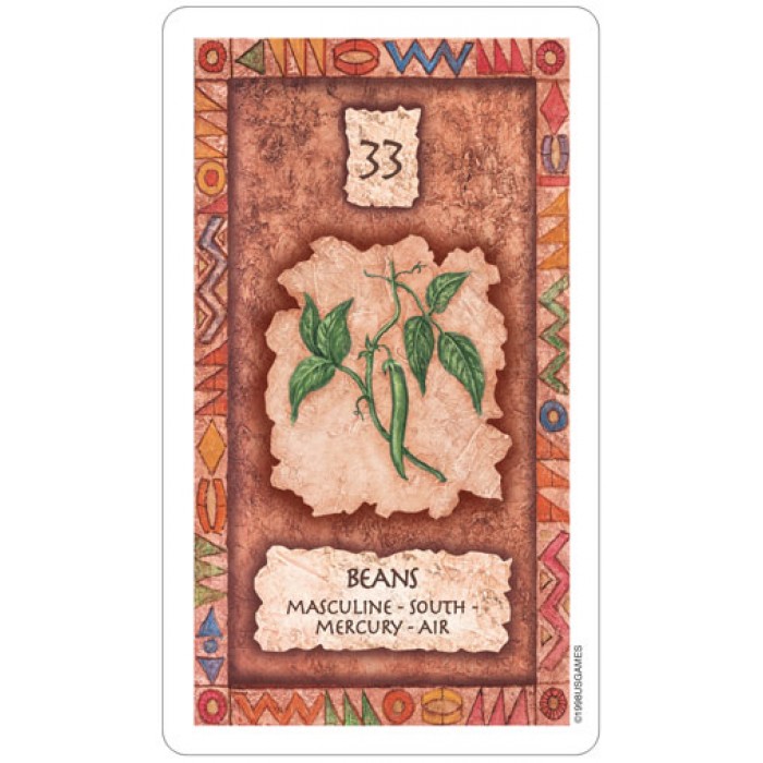 Σαμανικές κάρτες Σοφίας - Shaman Wisdom Cards Κάρτες Μαντείας
