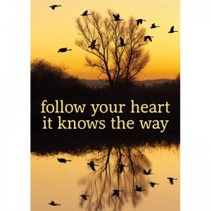 Καρτ Ποστάλ Follow your heart