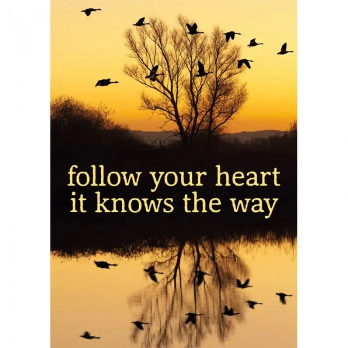 Καρτ Ποστάλ Follow your heart Ευχετήριες Κάρτες