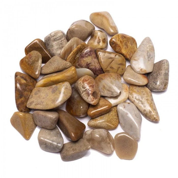 Ημιπολυτιμοι λιθοι - Agatized Coral Βότσαλα - Πέτρες (Tumblestones)