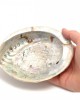 Abalone shell 10-11cm Λιβανιστήρια - Θυμιατήρια