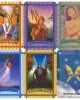 Healing with the Fairies Oracle Cards Doreen Virtue - Θεραπεία με τις Νεράϊδες Κάρτες Μαντείας