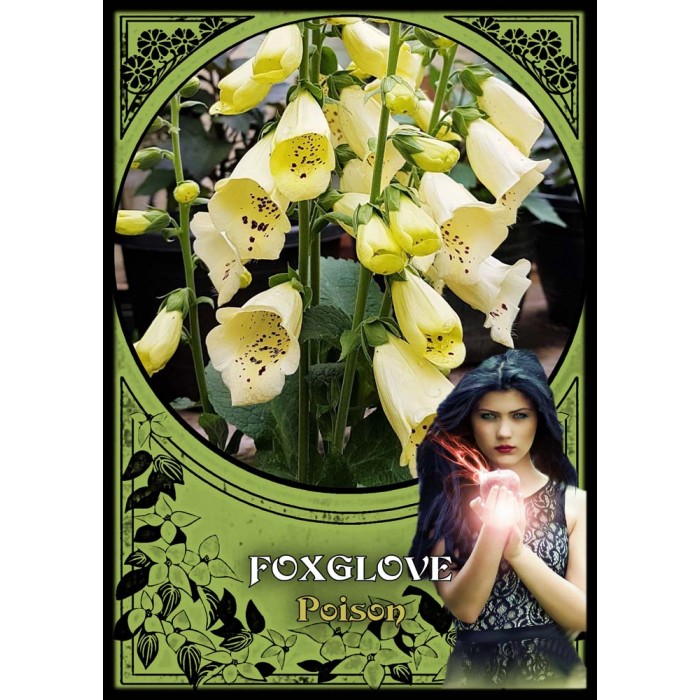 Flower Magic Oracle Κάρτες Μαντείας