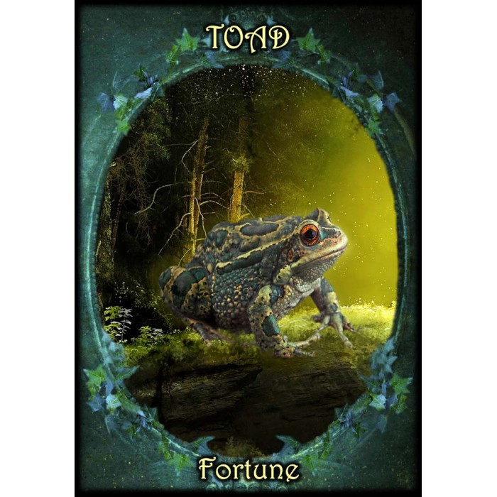 Witches’ Familiars Oracle Cards Κάρτες Μαντείας