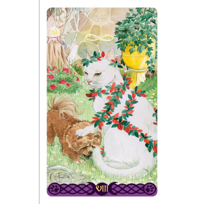 Pagan Cats Tarot Mini Κάρτες Ταρώ