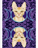 Καρτες ταρω - Pagan Cats Tarot Mini Κάρτες Ταρώ
