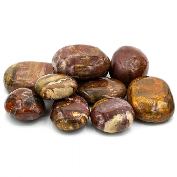 Ημιπολυτιμος Λιθος - Απολιθωμένο ξύλο - Petrified Wood (λίθος γίγας) 5-6cm Βότσαλα - Πέτρες (Tumblestones)