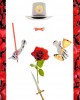 Καρτες Ταρω - The Rose Tarot - Ταρώ Τριαντάφυλλα 