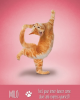 Yoga Cats Κάρτες Μαντείας
