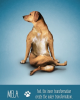 Yoga Dogs Κάρτες Μαντείας